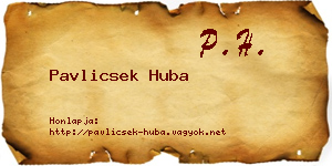 Pavlicsek Huba névjegykártya